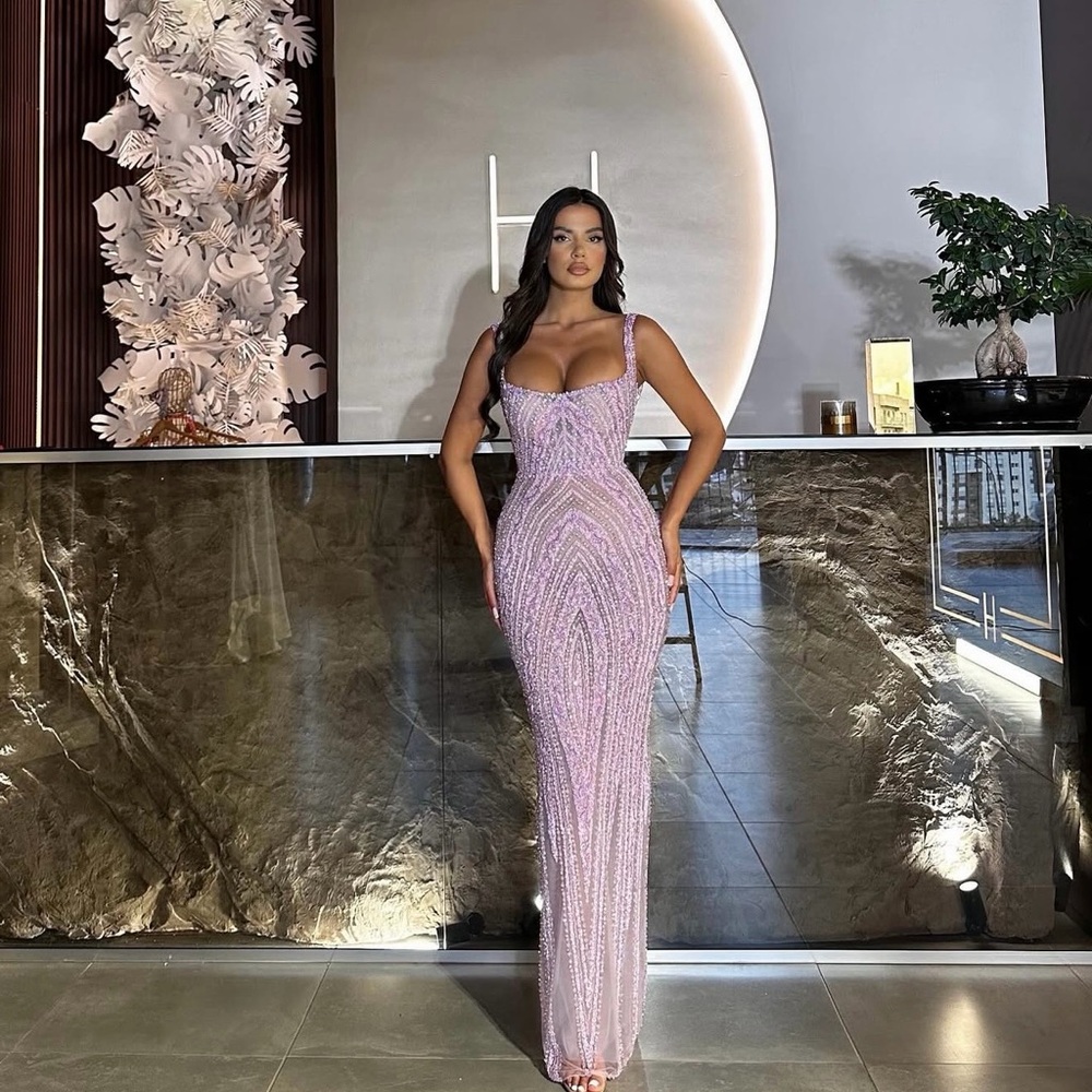 Hana official embellished dress